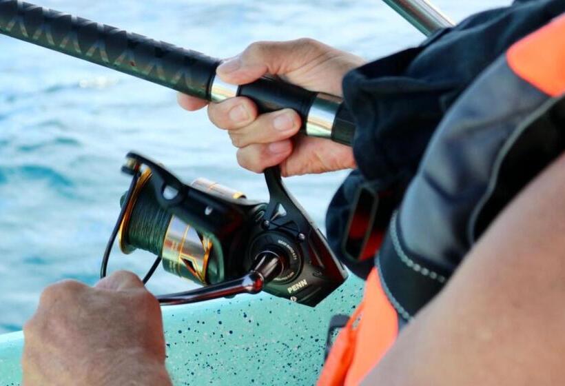 Uverito Sand Dollar B&b