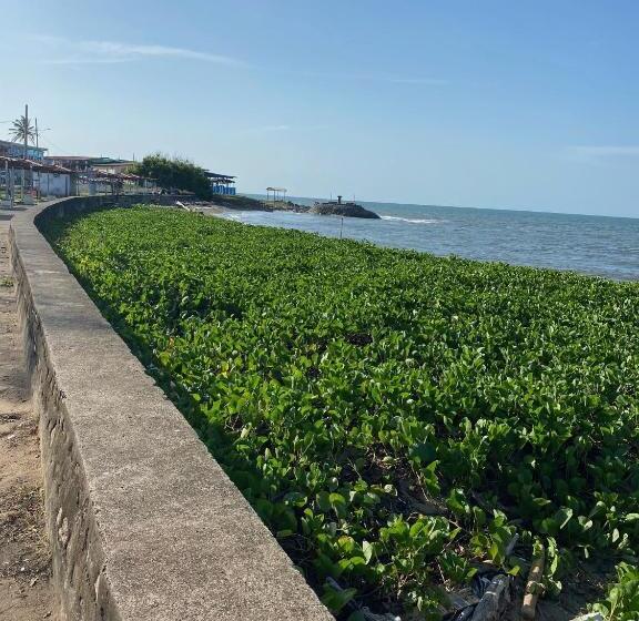 Uverito Sand Dollar B&b