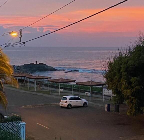 Uverito Sand Dollar B&b