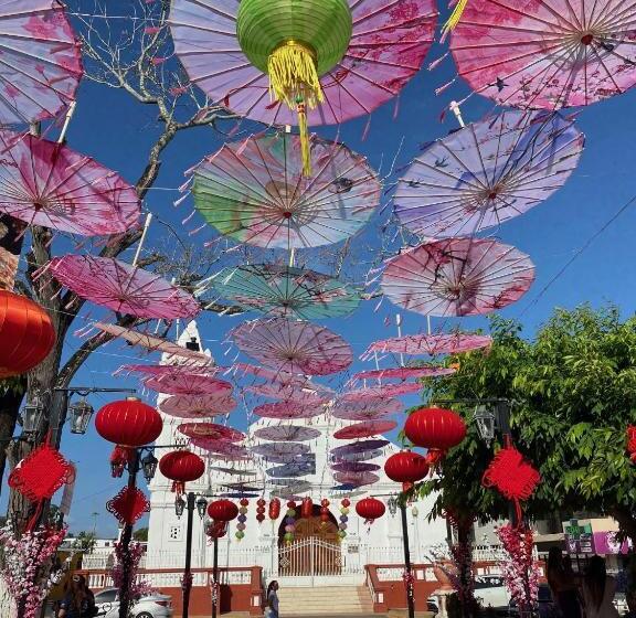 Uverito Sand Dollar B&b