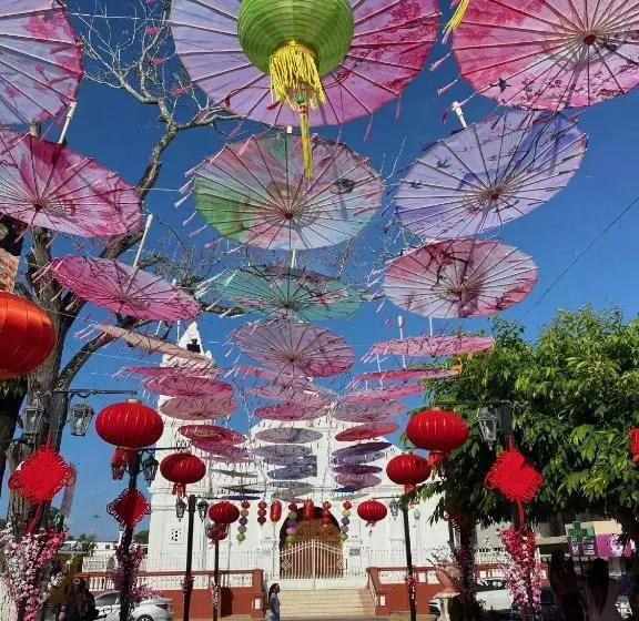 Uverito Sand Dollar B&b