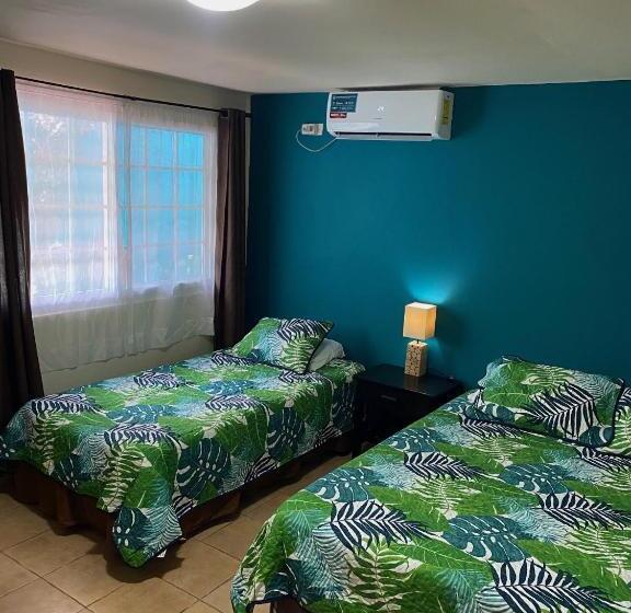 Uverito Sand Dollar B&b