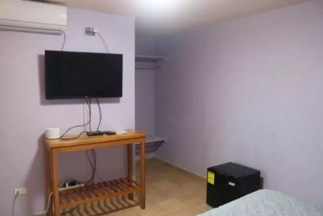 Uverito Sand Dollar B&b