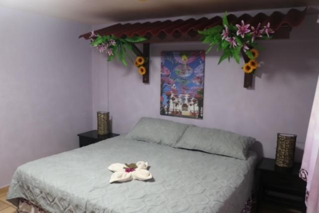 Uverito Sand Dollar B&b