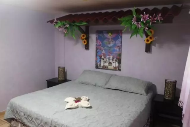 Uverito Sand Dollar B&b