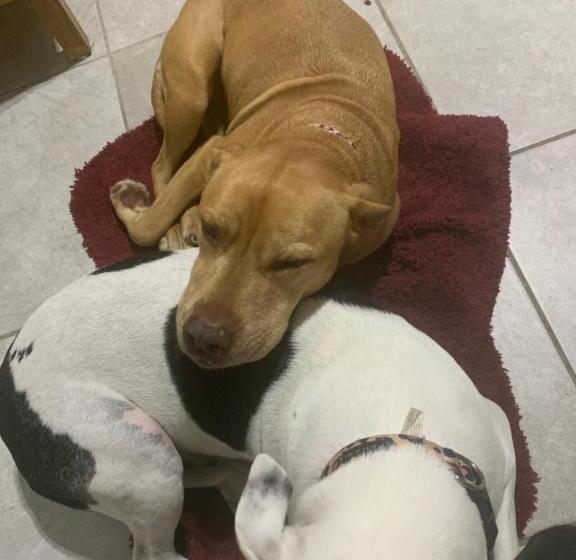 مبيت وإفطار Casa Nómada