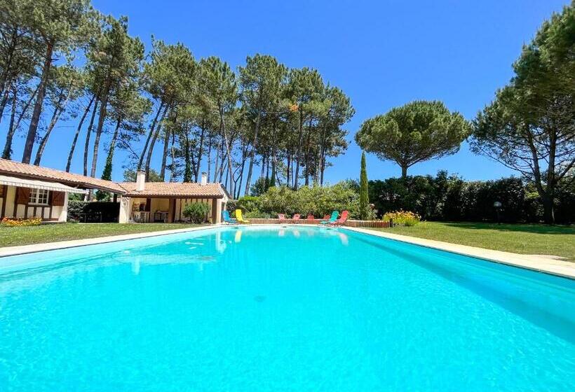 Bed and Breakfast La Villa Des 3 Pins