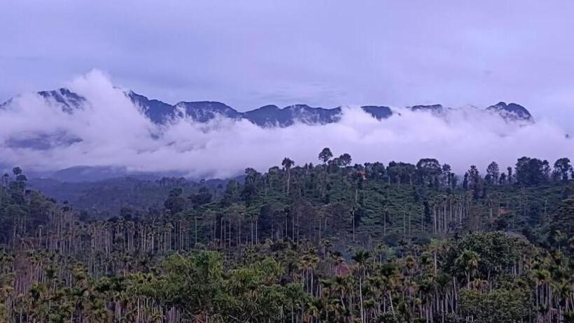 Pensão Sky Villa Wayanad