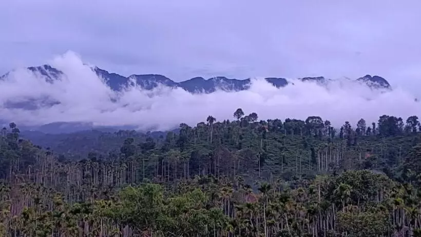 Majatalo Sky Villa Wayanad