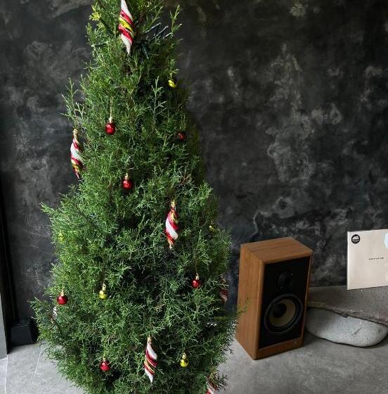 Пансион Surflab Villa