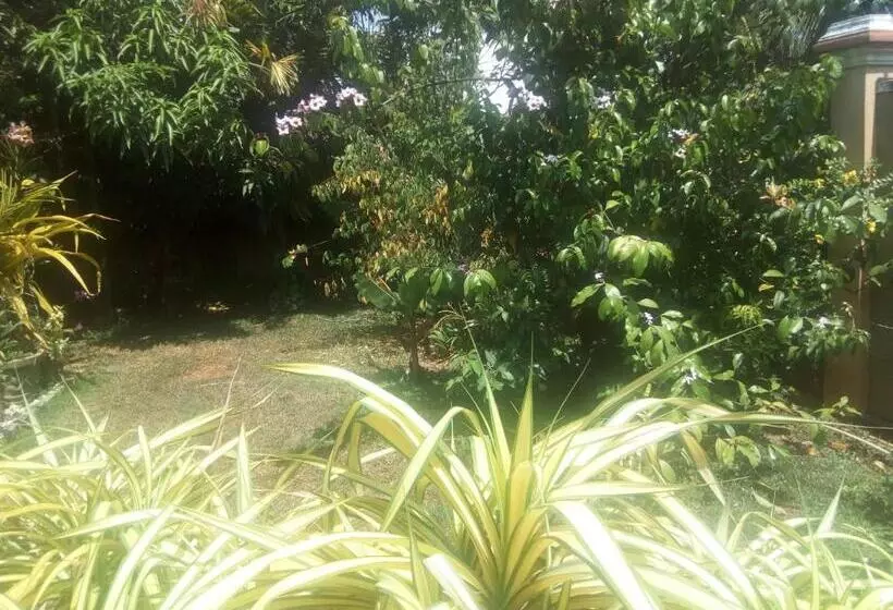 Waja Bed And Breakfast