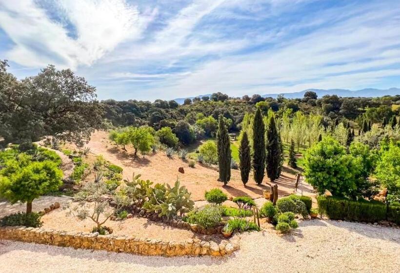 Bed and Breakfast Cortijo La Serena