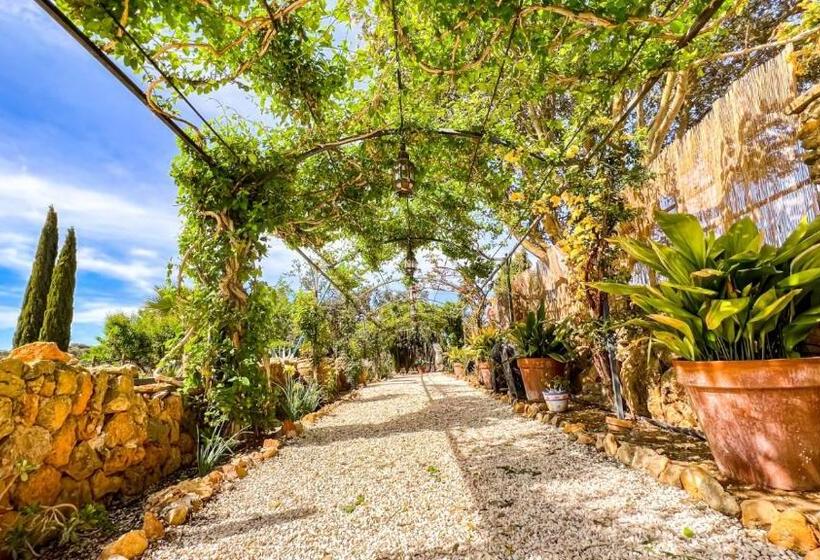 Bed and Breakfast Cortijo La Serena