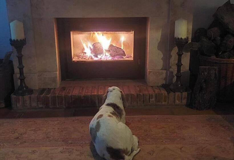 Bed and Breakfast Cortijo La Serena