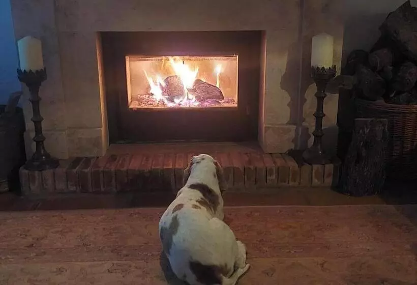 Aamiaismajoitus (B&B) Cortijo La Serena