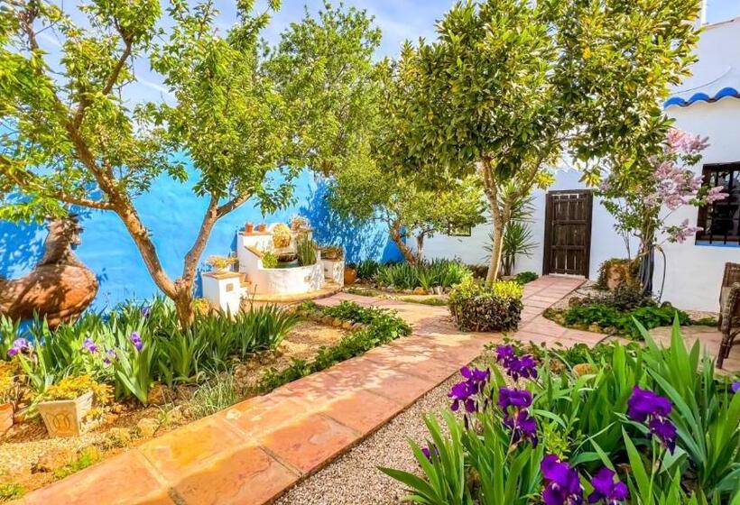 Bed and Breakfast Cortijo La Serena