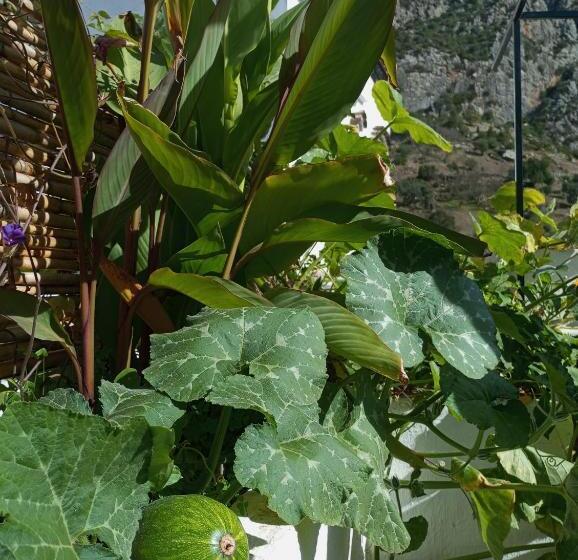 Bed and Breakfast Dar Sbaa