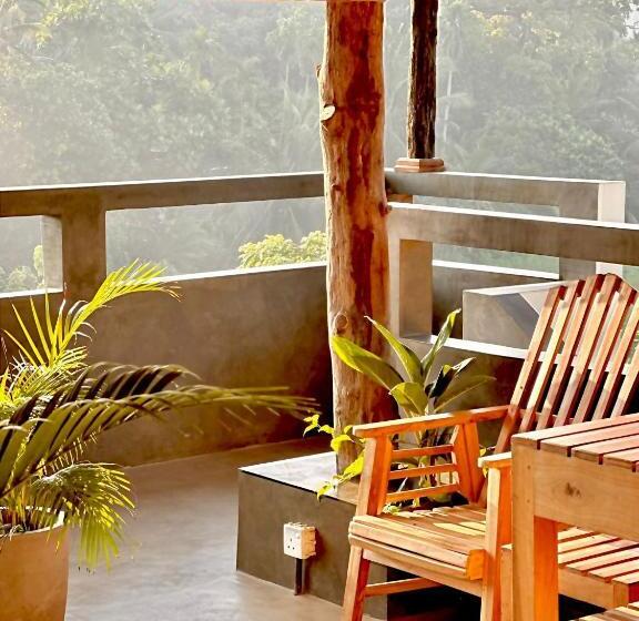 Hotel Idyllic Place In The Jungle