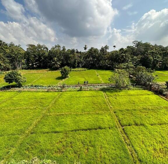 Hotel Idyllic Place In The Jungle