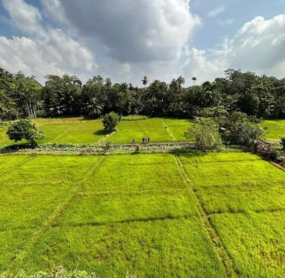 ホテル Idyllic Place In The Jungle