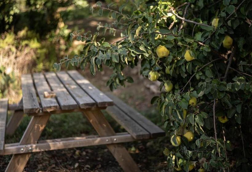 בית מלון כפרי Roccia