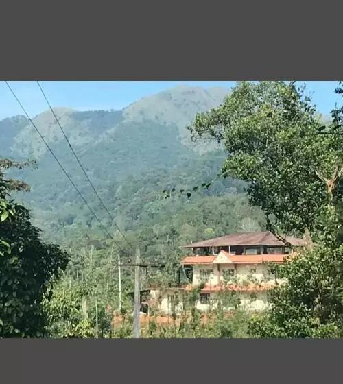 ペンション Jungle View Home Stay
