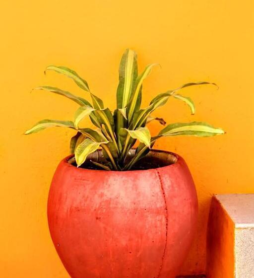 Пансион Tree Shadow Homestay &room S Near By Beach