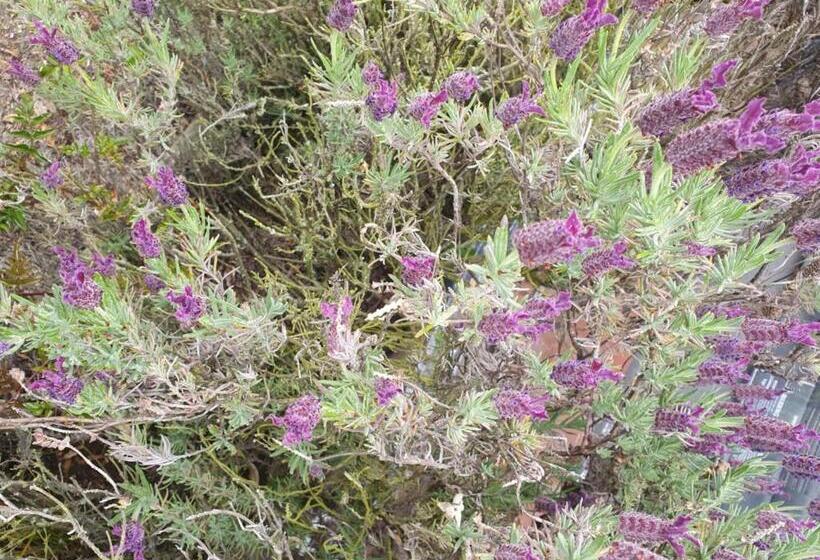 Pansiyon Warm Private Homestay Local To Dunedin