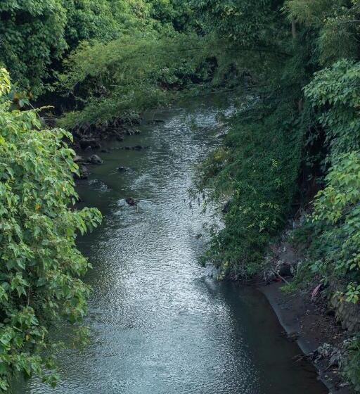 旅馆 Secret Joglo Lebih