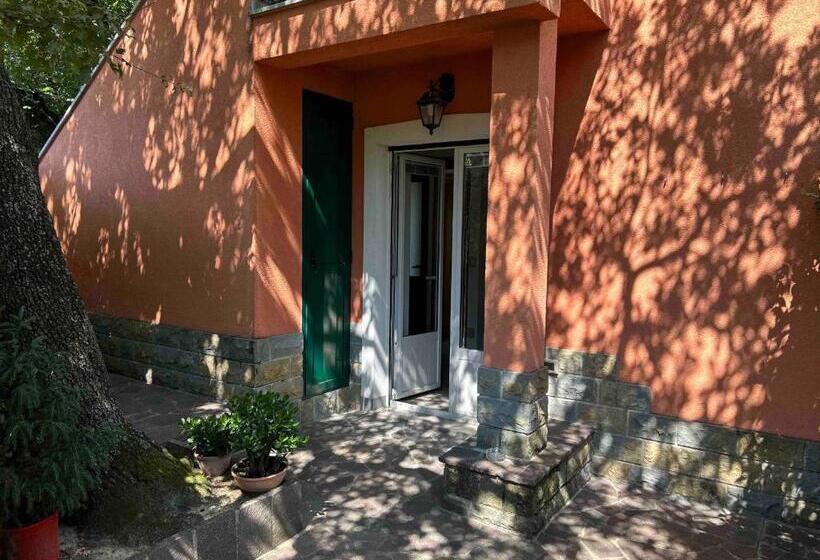 Nocleg ze śniadaniem Ai 2 Olmi Monolocali Nel Verde