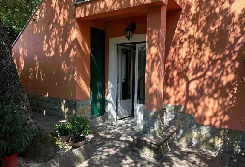 ベッドアンドブレックファースト Ai 2 Olmi   Monolocali Nel Verde