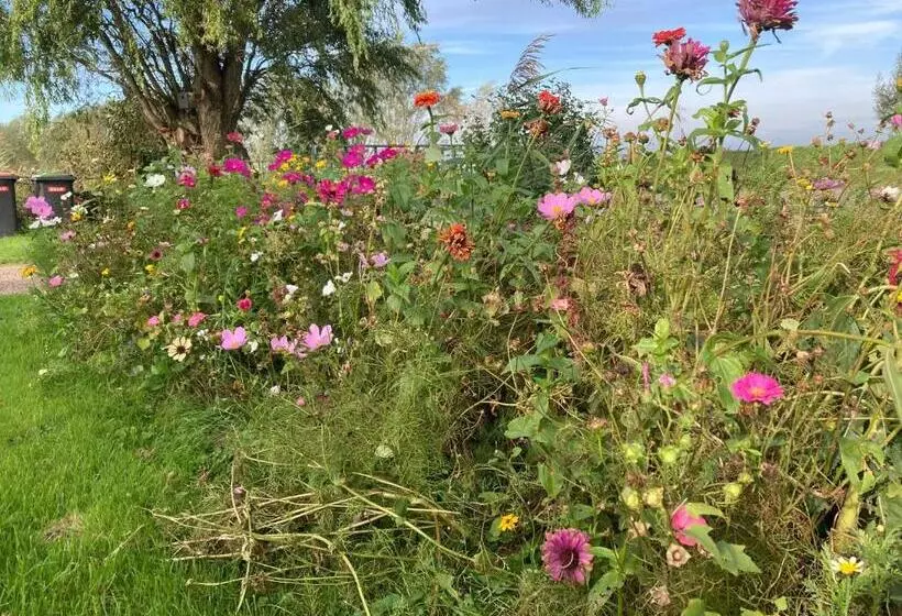 Aamiaismajoitus (B&B) Het Oude Strandhuis