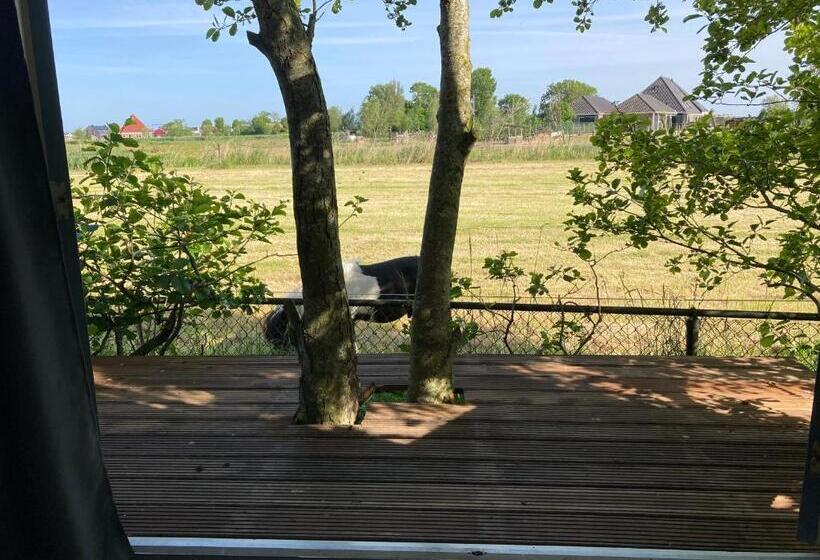 Bed and Breakfast Het Oude Strandhuis