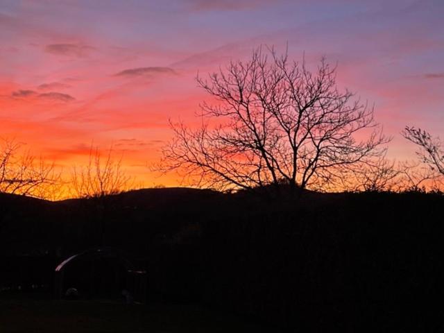 Bed and Breakfast Maison Goxoki