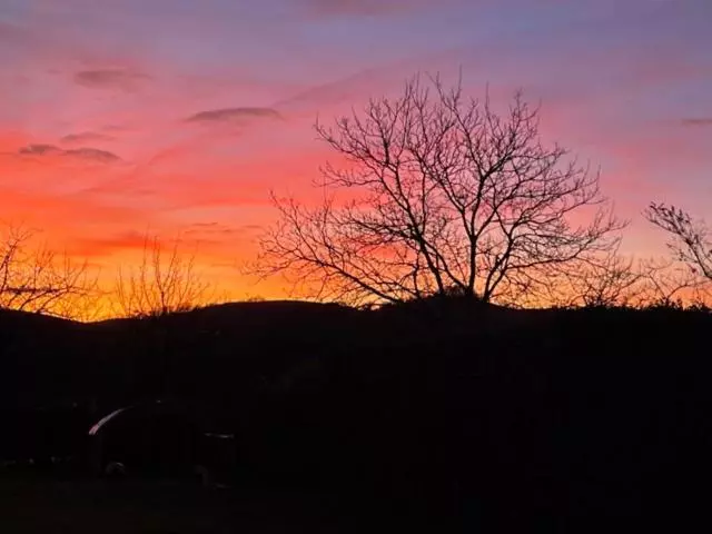 Aamiaismajoitus (B&B) Maison Goxoki