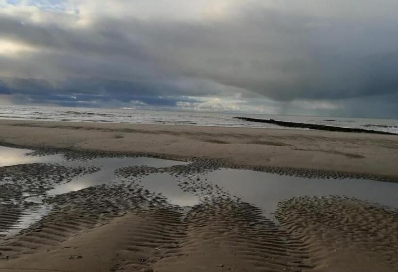 住宿加早餐 Melkmeisje