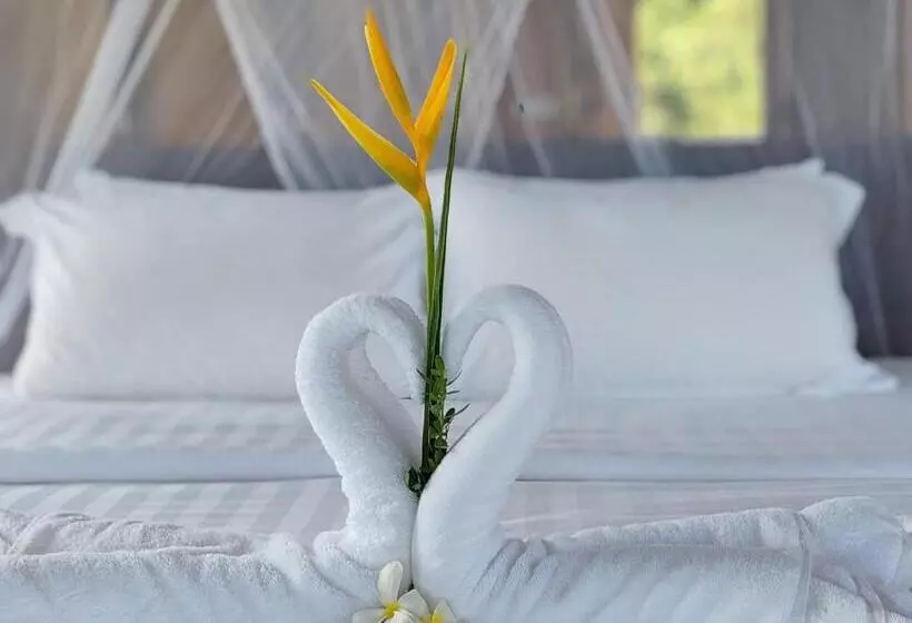 Full Moon Island Resort