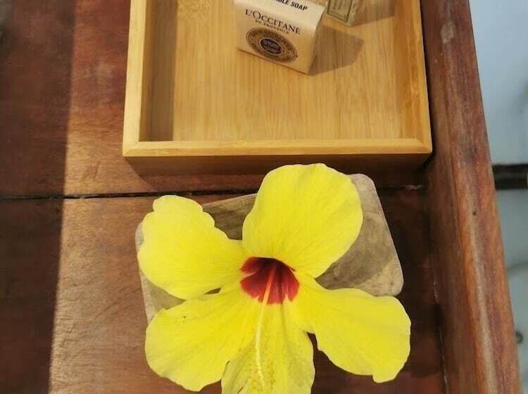 Le Jardin D éole Hotel Pontal De Maceio