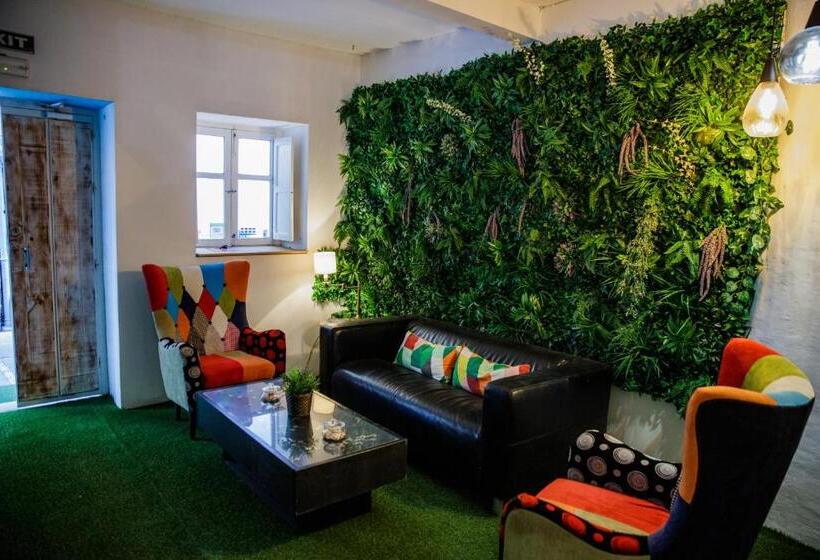 酒店 Hostal The Monkey Room