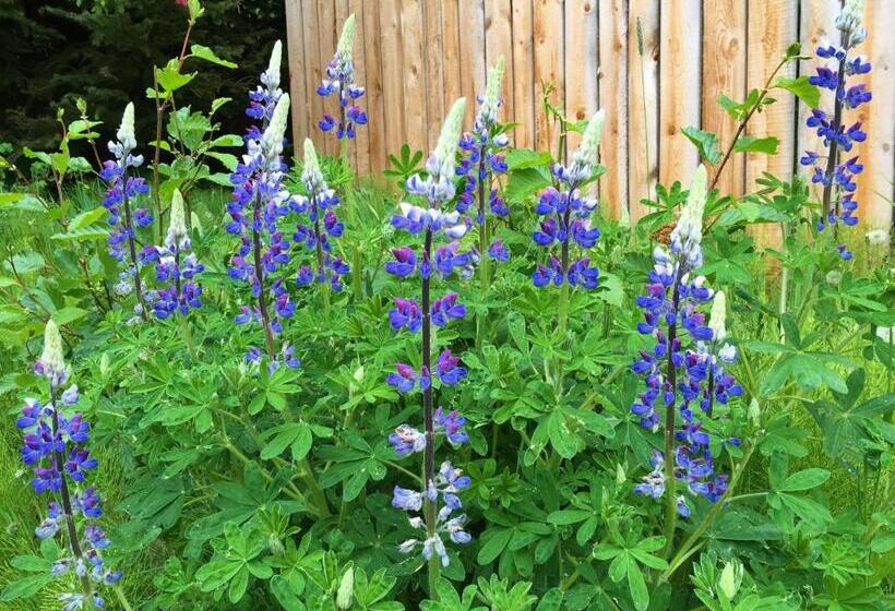 호텔 Juneberry Lodge