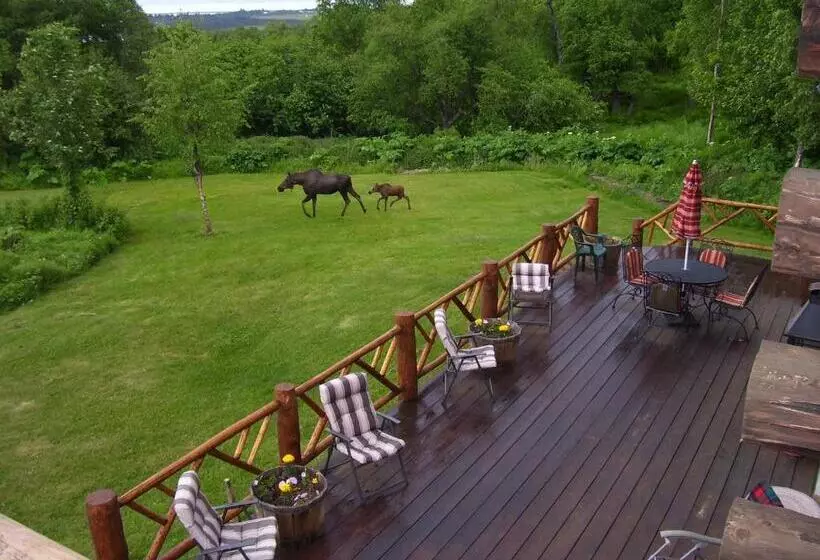 Hotelli Juneberry Lodge