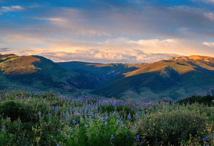 בית מלון כפרי Pioneer Guest Cabins