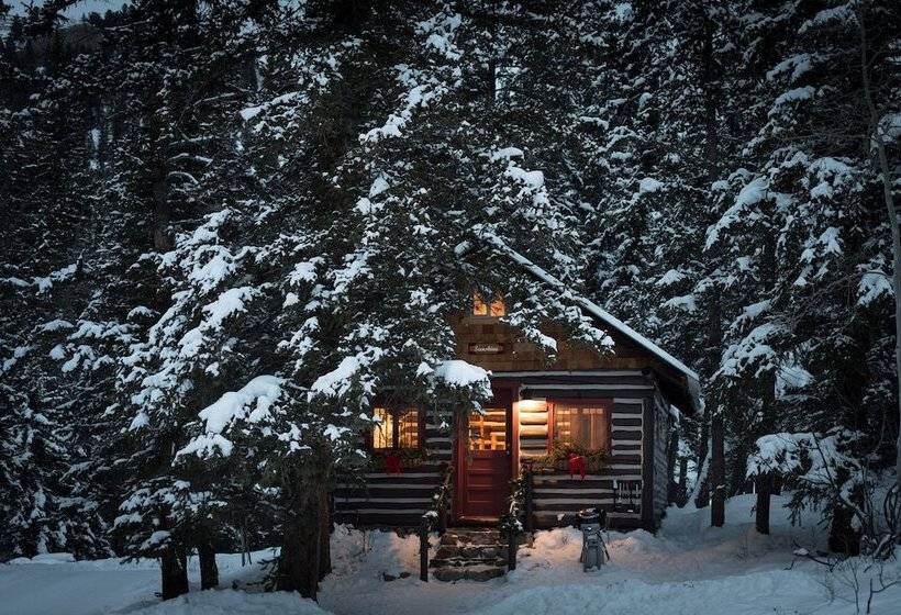 בית מלון כפרי Pioneer Guest Cabins