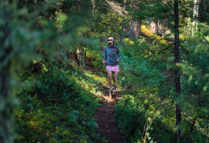 בית מלון כפרי Pioneer Guest Cabins