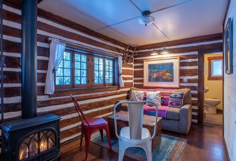 בית מלון כפרי Pioneer Guest Cabins