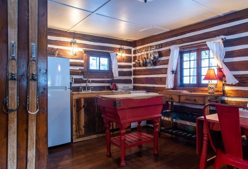 בית מלון כפרי Pioneer Guest Cabins