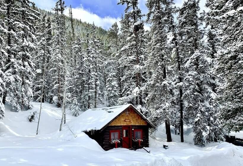 בית מלון כפרי Pioneer Guest Cabins