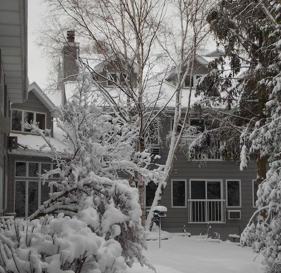 ホテル Waterbury Inn