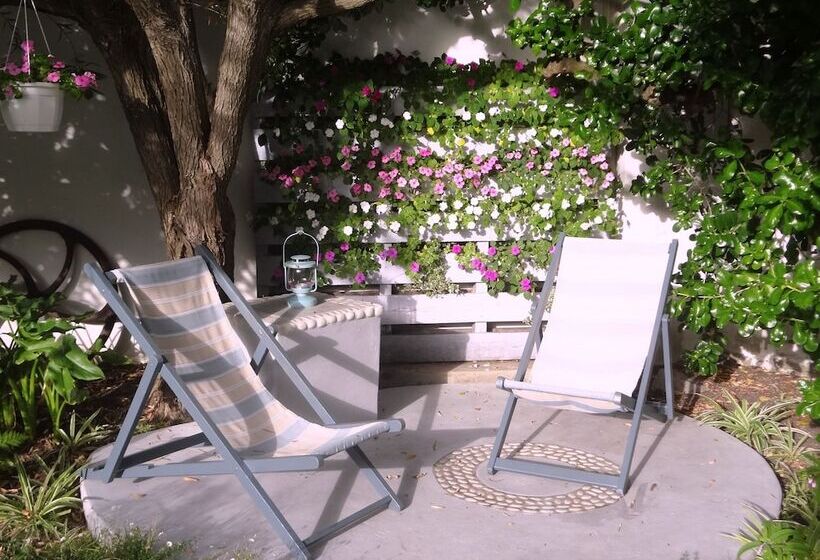 פנסיון Walker Bay Manor Mansion