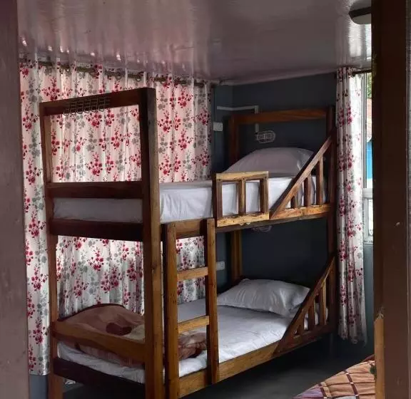 Alberg Wake In Himalayas